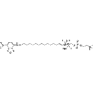 benzoxadiazol-4-yl-d-erythro-sphingosine-1-phosphocholine分子式